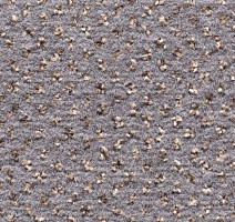 Ковролин Condor Carpets Argus 302 фото 1 | FLOORDEALER