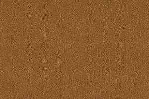 Ковролин Desso Asteranne 2058 фото  | FLOORDEALER