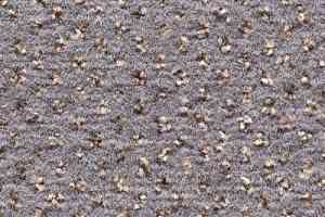 Ковролин Condor Carpets Argus 302 фото  | FLOORDEALER