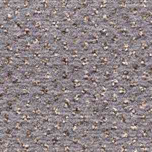 Ковролин CONDOR Carpets Argus 302 фото ##numphoto## | FLOORDEALER