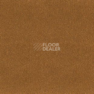 Ковролин Desso Asteranne 2058 фото 1 | FLOORDEALER