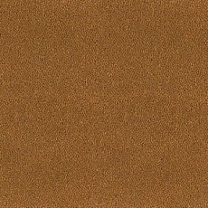 Ковролин Desso Asteranne 2058 фото 1 | FLOORDEALER