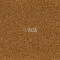 Ковролин Desso Asteranne 2058 фото 1 | FLOORDEALER