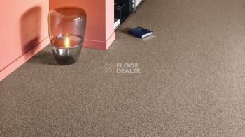 Vorwerk Essential 1074/Parma Vorwerk 7g57 фото 2 | FLOORDEALER