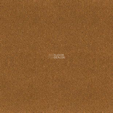 Desso Asteranne 2058 фото 1 | FLOORDEALER