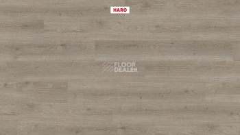 Haro Tritty 200 Aqua 4V Дуб Флавия Серый 544760 фото 2 | FLOORDEALER