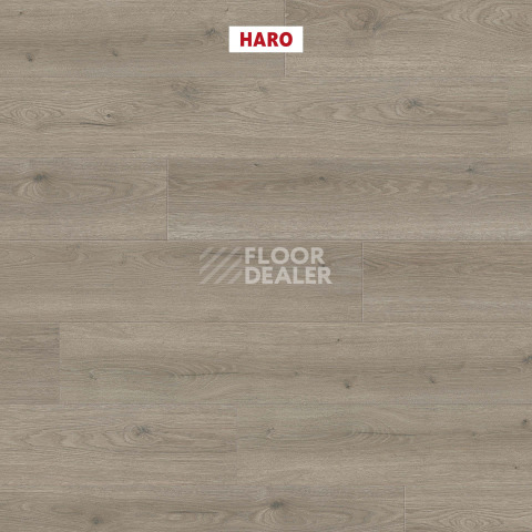 Haro Tritty 200 Aqua 4V Дуб Флавия Серый 544760 фото 2 | FLOORDEALER