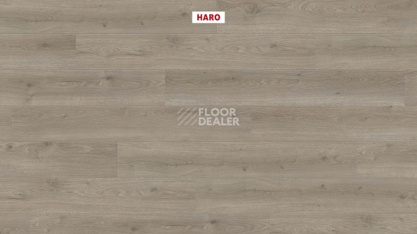 Ламинат Haro Tritty 200 Aqua 4V Дуб Флавия Серый 544760 фото 2 | FLOORDEALER