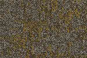 Ковровая плитка Desso Salt 6112 фото  | FLOORDEALER