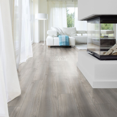 Ламинат Kronotex Exquisit 8мм d4612 Дуб Порт Серый фото 2 | FLOORDEALER