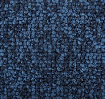 Ковровая плитка Standard Carpets Spectrum sm 557 фото 1 | FLOORDEALER