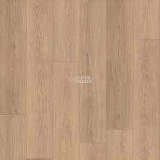 Relux Classic 5мм SCL 6638 v4 Дуб Традиция натуральный фото 1 | FLOORDEALER