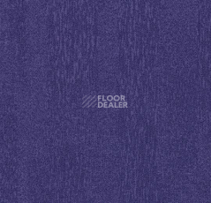 Ковролин Flotex Colour s 482024 Penang Purple фото 1 | FLOORDEALER