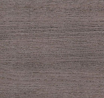 Линолеум Taralay Initial Compact (wood) 0590 Renzo Steel фото 1 | FLOORDEALER