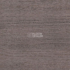 Линолеум Taralay Initial Compact (wood) 0590 Renzo Steel фото 1 | FLOORDEALER