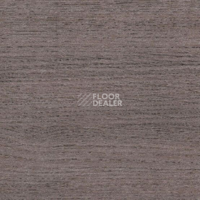 Линолеум Taralay Initial Compact (wood) 0590 Renzo Steel фото 1 | FLOORDEALER