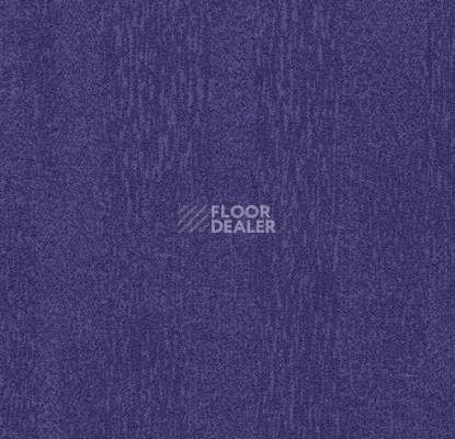 Ковролин Flotex Colour s 482024 Penang Purple фото 1 | FLOORDEALER