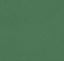 Линолеум Graboflex Start 4000-660-279 фото 1 | FLOORDEALER