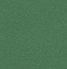 Линолеум Graboflex Start 4000-660-279 фото 1 | FLOORDEALER