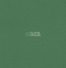 Линолеум Graboflex Start 4000-660-279 фото 1 | FLOORDEALER