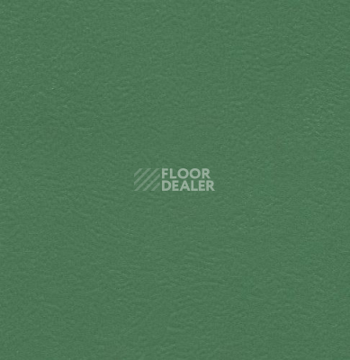 Линолеум Graboflex Start 4000-660-279 фото 1 | FLOORDEALER