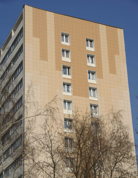 Standard Керамогранит 60x60x10 st 17 60x60 Непол.Рект. (Керамический гранит) фото 3 | FLOORDEALER