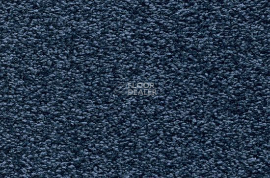 Ковролин Vorwerk Amiru 3l17 фото 1 | FLOORDEALER