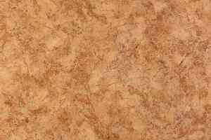 Линолеум Tarkett Европа Nubia 3 фото  | FLOORDEALER