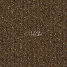 Ковролин Desso Champion 2072 фото 1 | FLOORDEALER