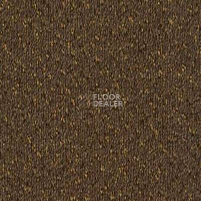 Ковролин Desso Champion 2072 фото 1 | FLOORDEALER