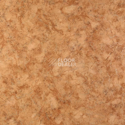 Линолеум Tarkett Европа Nubia 3 фото 1 | FLOORDEALER