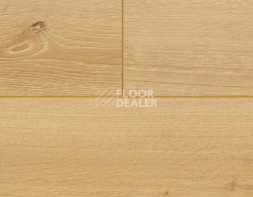 Ламинат My Step Mega 12 ms 2812 Дуб Лион фото 3 | FLOORDEALER