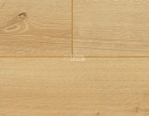Ламинат My Step Mega 12 ms 2812 Дуб Лион фото 3 | FLOORDEALER