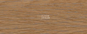 Плинтус Dollken EP 60/13 2396 фото 2 | FLOORDEALER