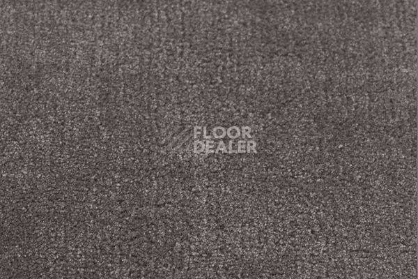 Ковролин Jacaranda Carpets Simla Pewter фото 1 | FLOORDEALER