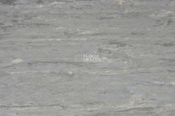 Tarkett Horizon 013 фото 2 | FLOORDEALER