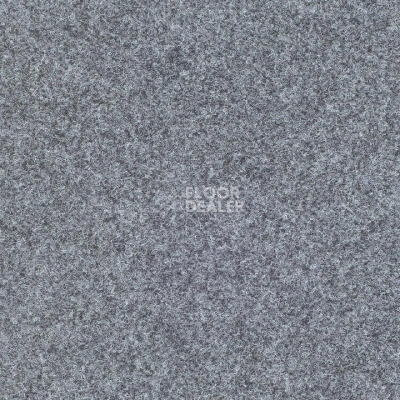 Ковролин Tarkett Enter Enter 33410 фото 1 | FLOORDEALER