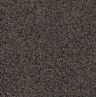 Ковролин Haima Stepway x 4455 фото 1 | FLOORDEALER