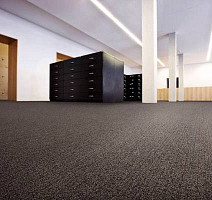 Desso Wilton in Ribs