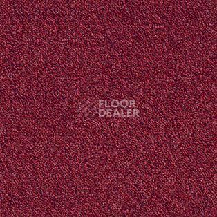 Ковролин AW Spinta 11 фото 1 | FLOORDEALER