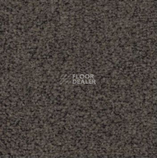Ковролин Haima Stepway x 4455 фото 1 | FLOORDEALER