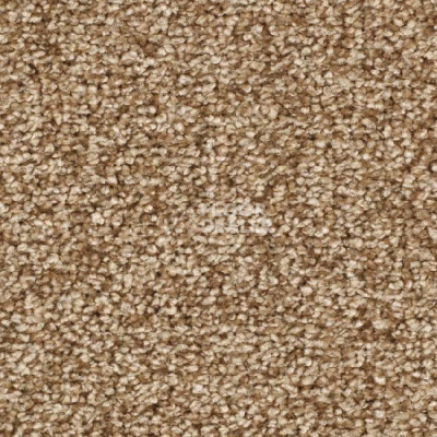 Ковролин Balsan Ultrasoft 640 фото 1 | FLOORDEALER