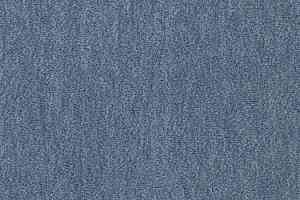 Ковролин Vorwerk Passion 1002 Vorwerk 3n66 фото  | FLOORDEALER