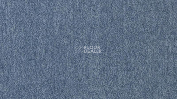 Ковролин Vorwerk Passion 1002 Vorwerk 3n66 фото 1 | FLOORDEALER