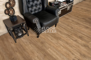 Alpine Floor Grand Sequoia (1220x183) ГРАНД СЕКВОЙЯ МАКАДАМИЯ ECO 11-10 фото 3 | FLOORDEALER