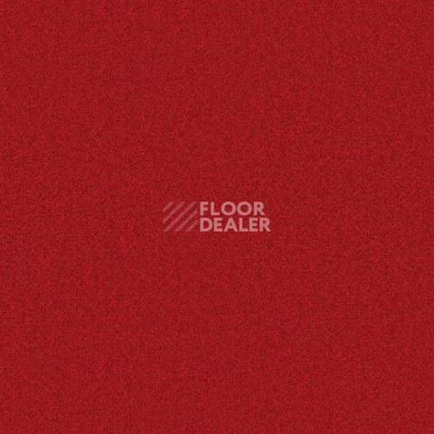 Ковролин Forbo Showtime Nuance 900216 фото 1 | FLOORDEALER
