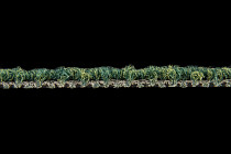 Escom Object 64070 фото 3 | FLOORDEALER