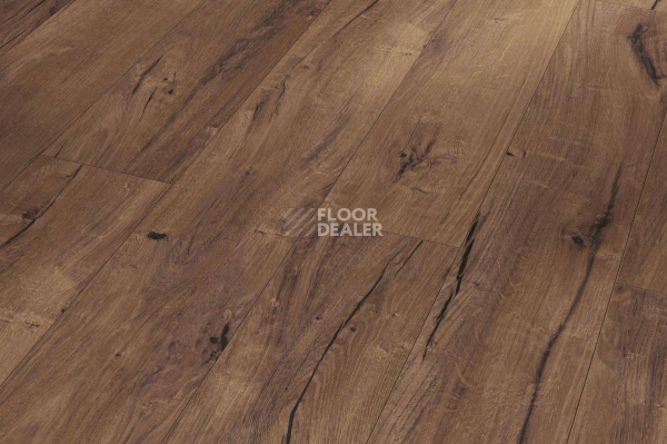 Ламинат Parador Trendtime 1 1473914  Дуб Центури Античный фото 1 | FLOORDEALER