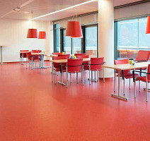 Taralay Premium Brazilia