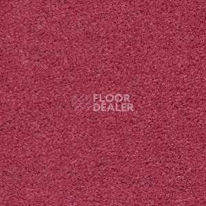 Ковролин Radici Montecarlo 7 фото 1 | FLOORDEALER